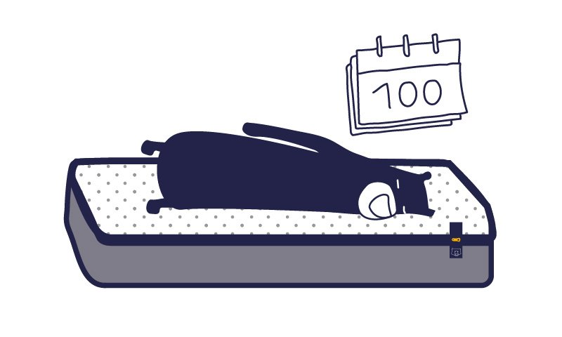 retour-tediber-100jours-800x480